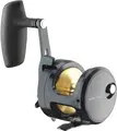 Daiwa 24 Saltiga (G) 15 H&#248;yresveiv