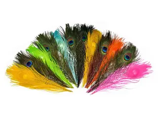 Frödin Peacock Eye Feathers Påfuglfjær til fluebinding