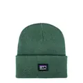 Patagonia Everyday Beanie Hemlock Green One Size