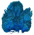 Whiting Rooster SH/C Grizzly Grizzly dyed Kingfisher Blue